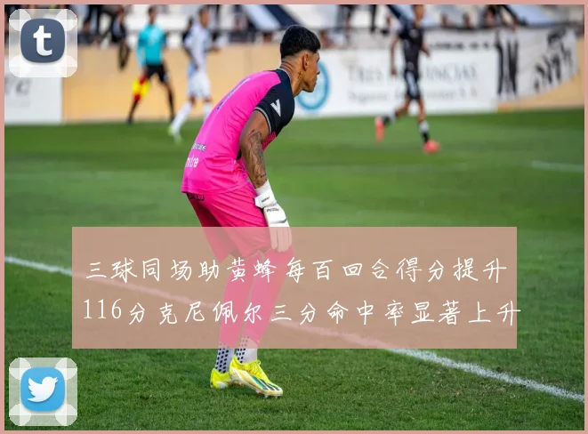 三球同场助黄蜂每百回合得分提升116分克尼佩尔三分命中率显著上升近10
