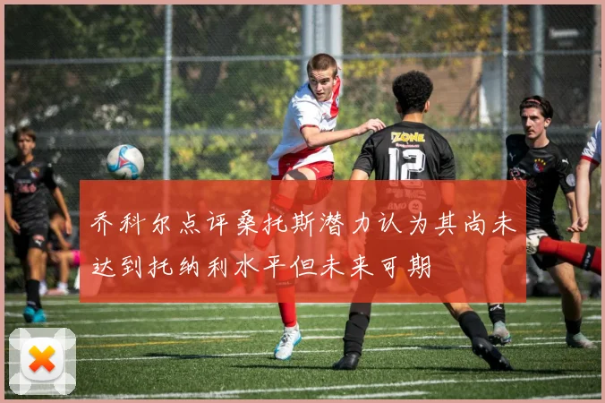 乔科尔点评桑托斯潜力认为其尚未达到托纳利水平但未来可期